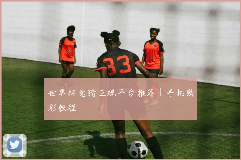 世界杯竞猜正规平台推荐｜手机购彩教程