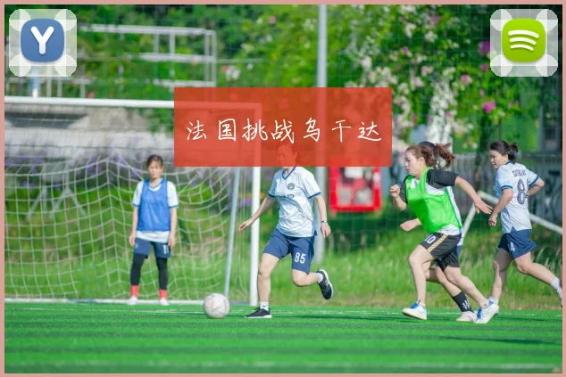 法国挑战乌干达