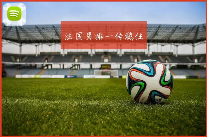 法国男排一传稳住