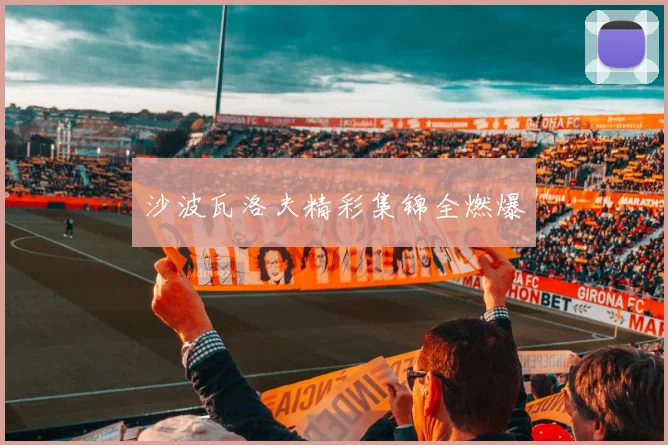 沙波瓦洛夫精彩集锦全燃爆
