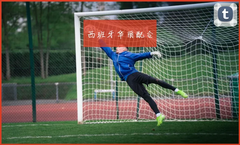 西班牙华丽配合