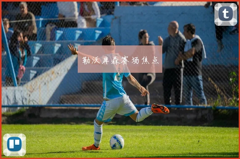 勒沃库森赛场焦点