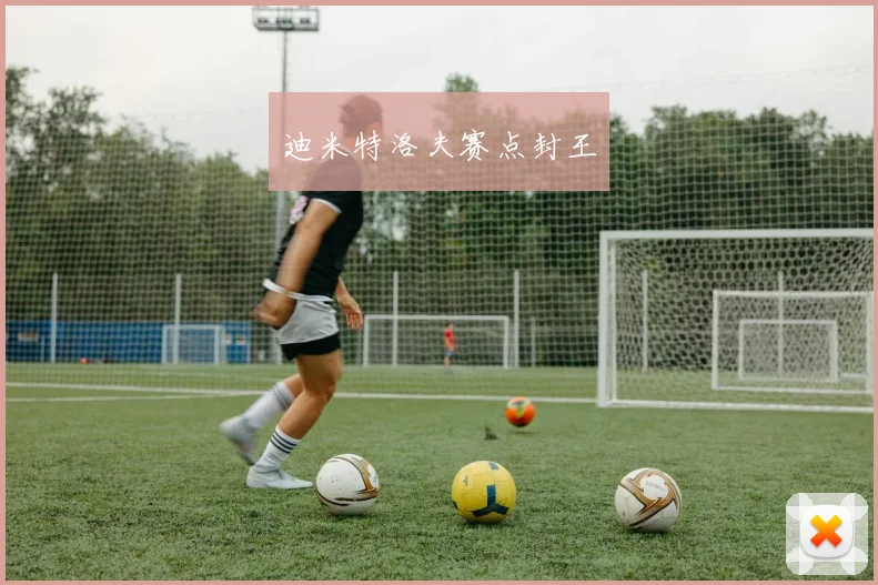 迪米特洛夫赛点封王
