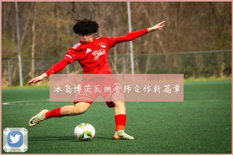 冰岛博茨瓦纳会师合作新篇章