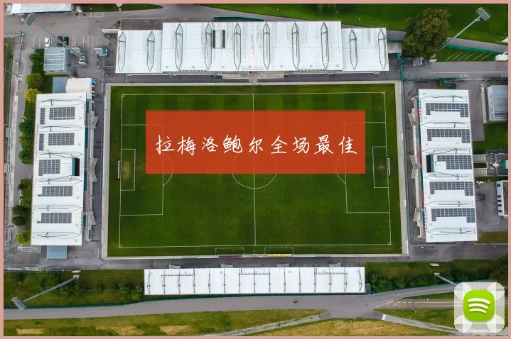 拉梅洛鲍尔全场最佳