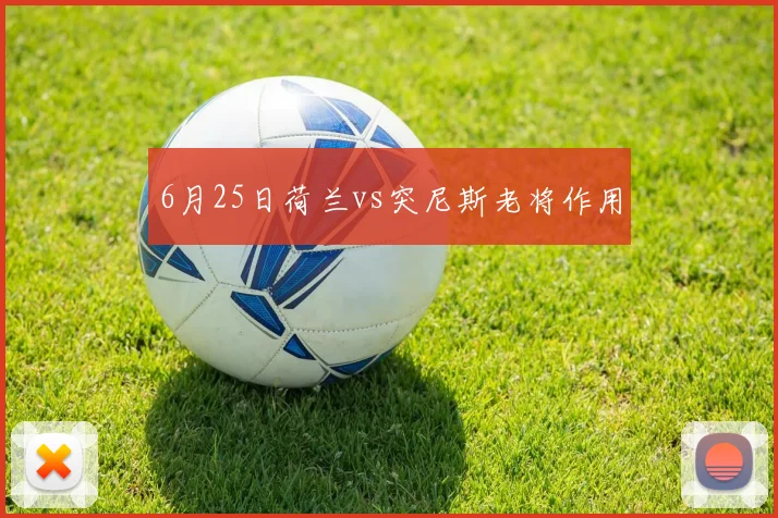 6月25日荷兰vs突尼斯老将作用