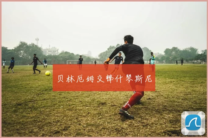 贝林厄姆交锋什琴斯尼
