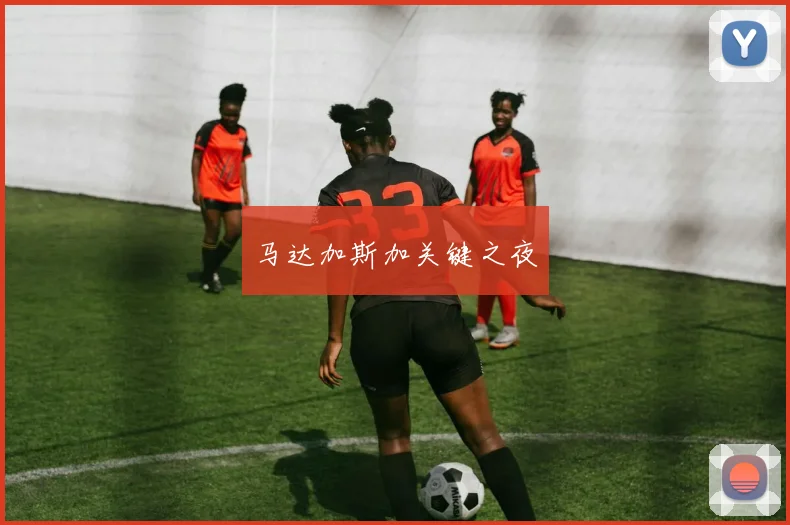 马达加斯加关键之夜