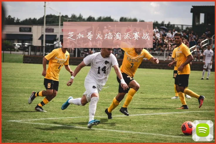 芝加哥火焰淘汰赛战