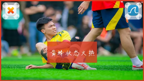 黄蜂状态火热