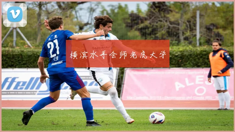 横滨水手会师老虎大学