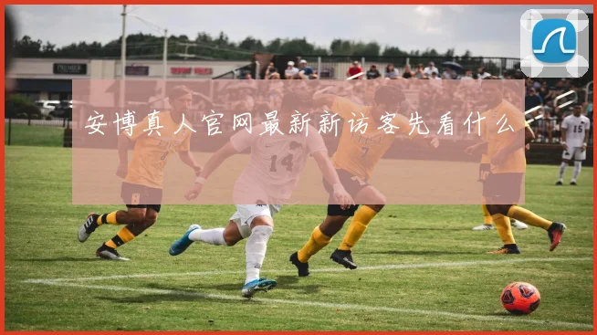 安博真人官网最新新访客先看什么